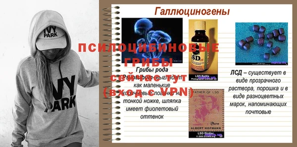 героин Верея