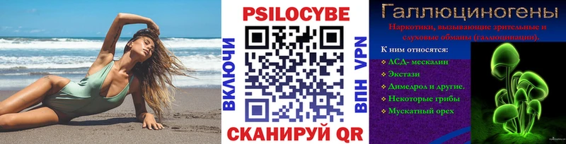 Псилоцибиновые грибы Psilocybe  Купить закладки  Маркс 